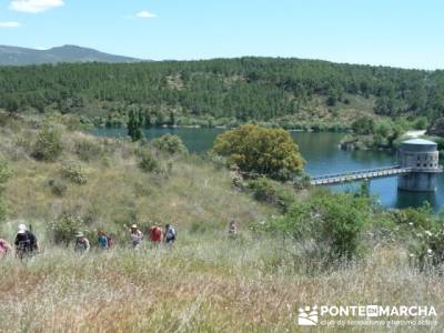 Senda Genaro - GR300 - Embalse de El Atazar - Embalse de Puentes Viejas - Presa de El Villar